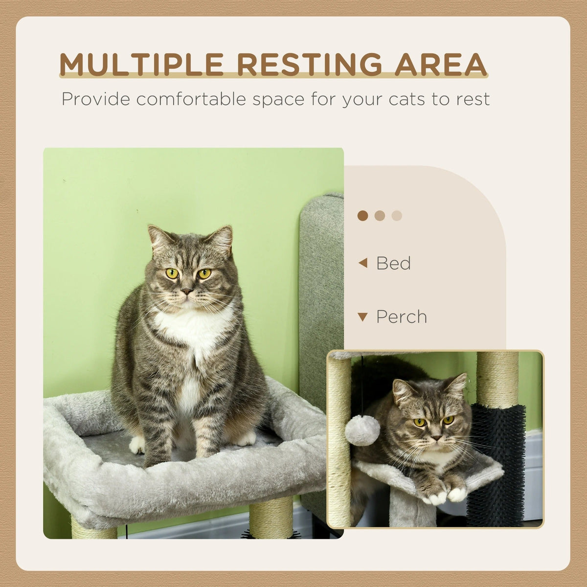 Arbre à Chat TunnelJouet Compact pour Petits Espaces