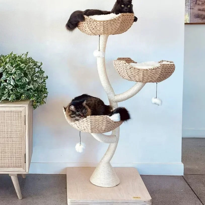 Arbre à Chat FleurDeluxe Design Bois & Sisal