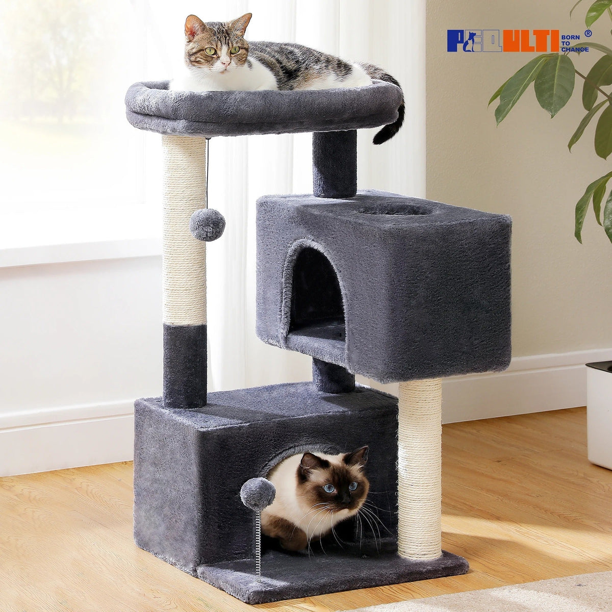 Arbre à Chat Douillet Beige avec Nid Perché