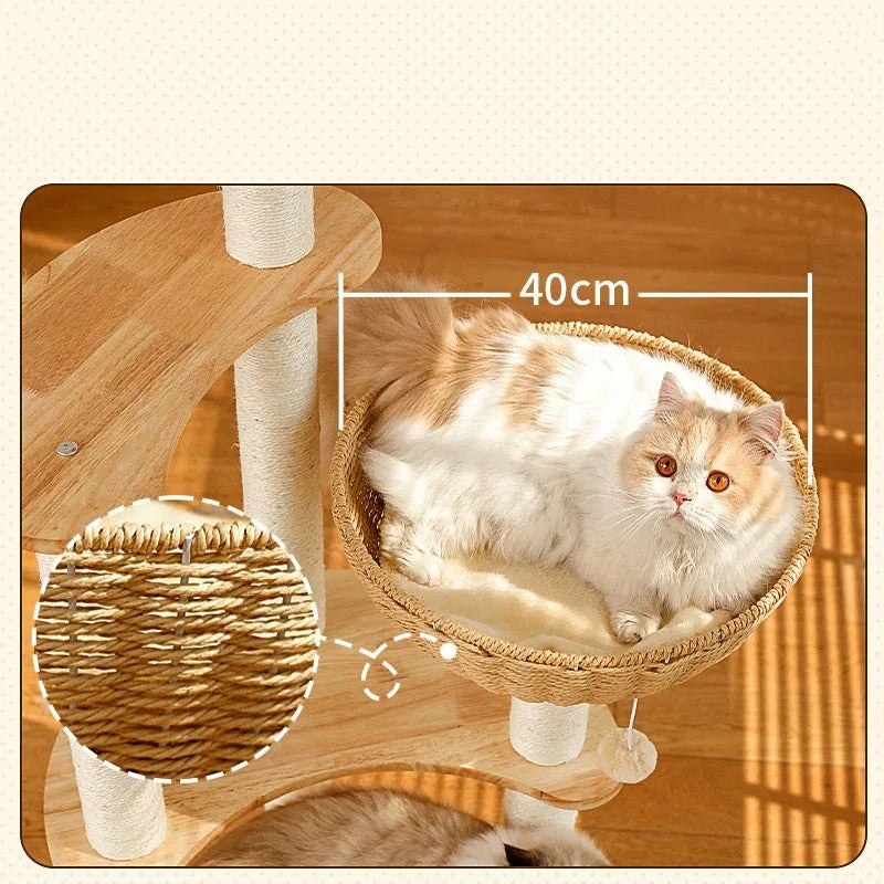 Arbre à Chat Design Bois Massif SkyNest