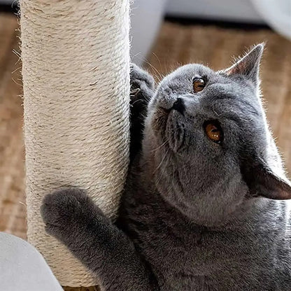 Arbre à Chat Design Bois Massif SkyNest