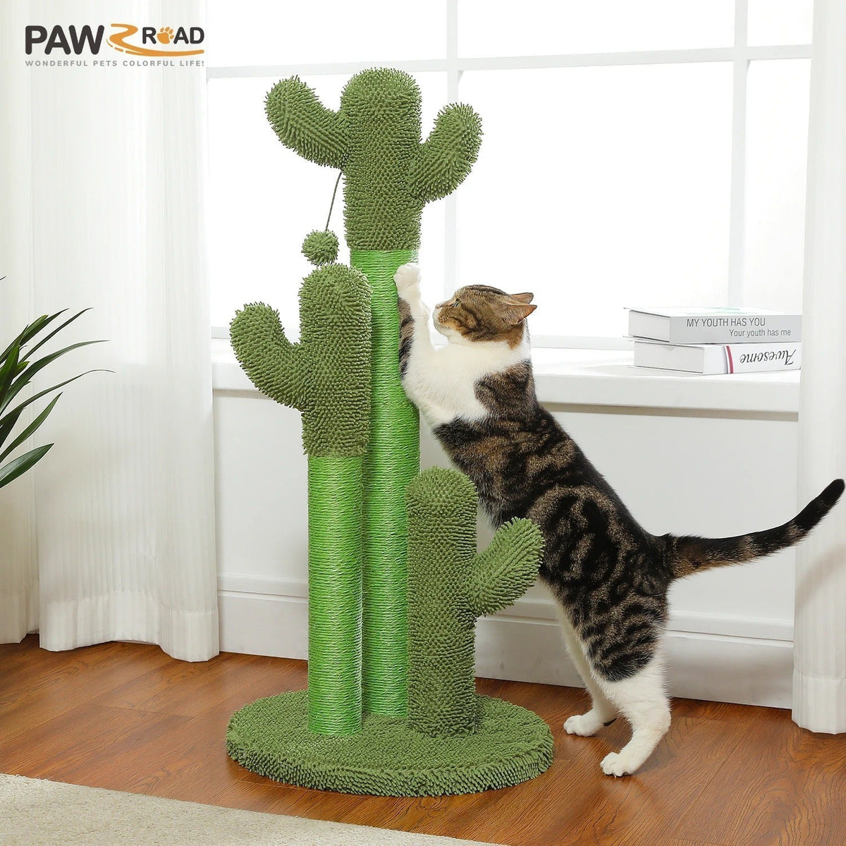 Arbre à Chat Cactus Vert Multifonction