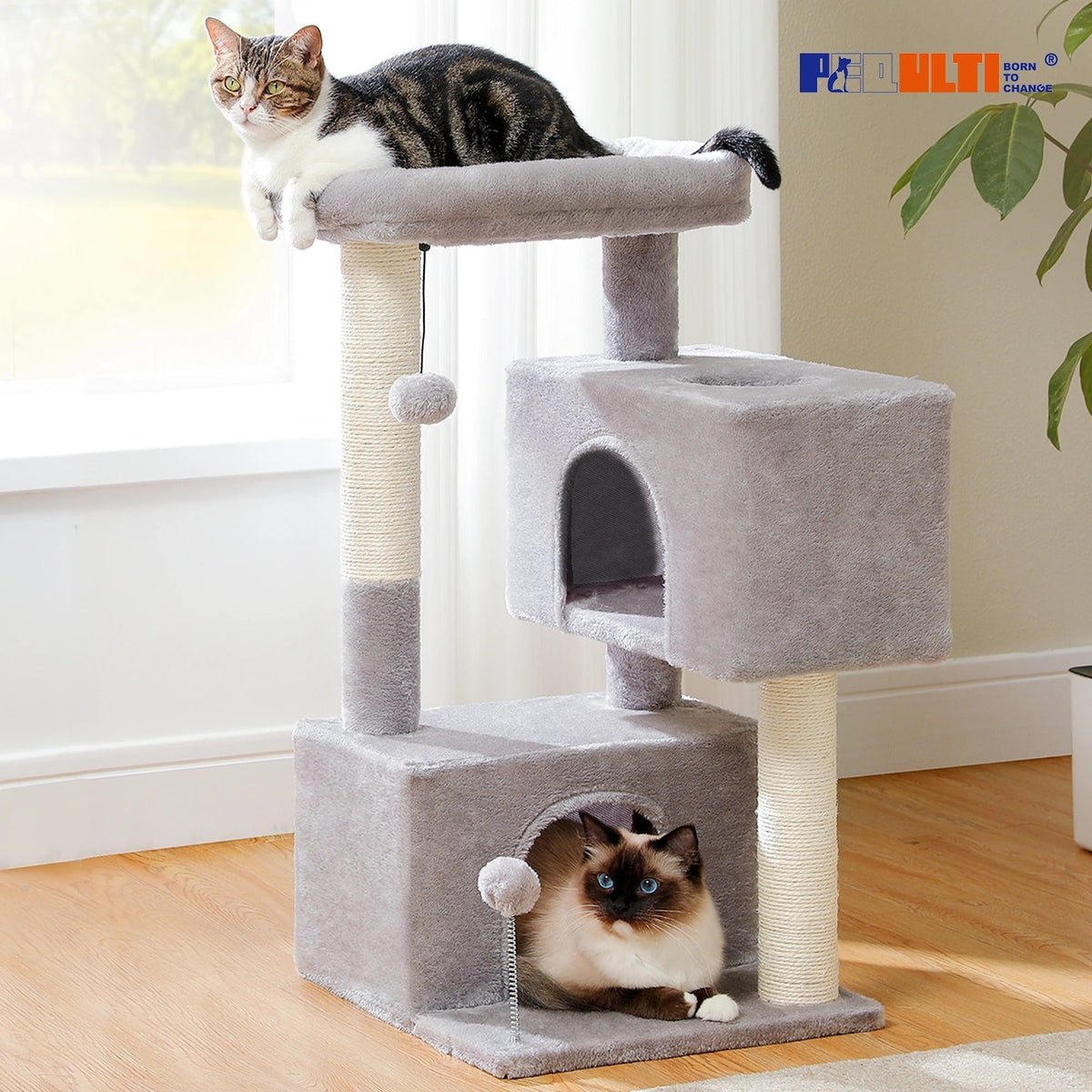 Arbre à Chat Douillet Beige avec Nid Perché