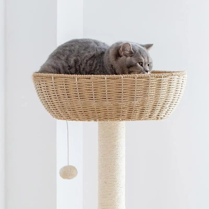Arbre à Chat Design Bois Massif SkyNest